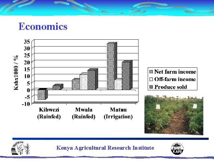 Economics Kenya Agricultural Research Institute 
