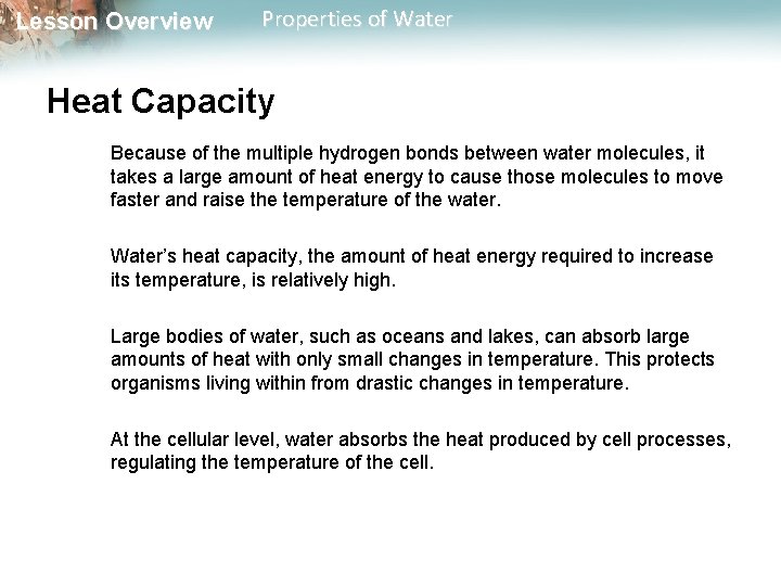 Lesson Overview Properties of Water Heat Capacity Because of the multiple hydrogen bonds between