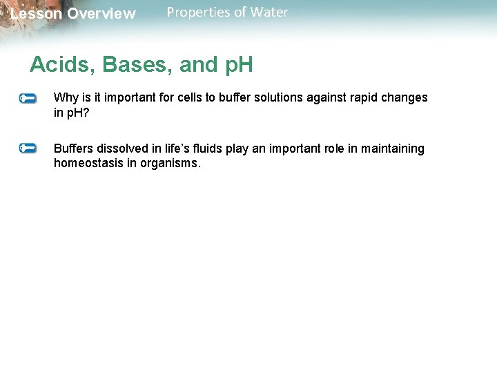 Lesson Overview Properties of Water Acids, Bases, and p. H Why is it important