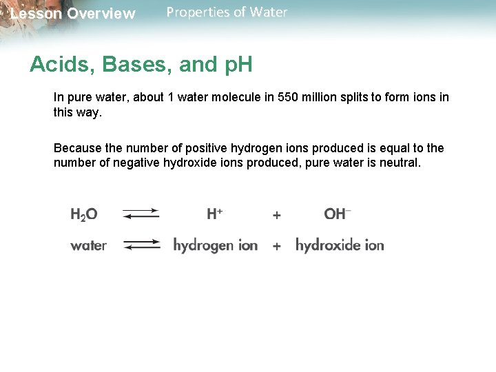 Lesson Overview Properties of Water Acids, Bases, and p. H In pure water, about