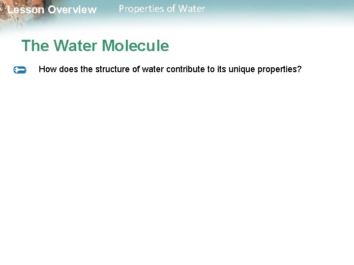 Lesson Overview Properties of Water The Water Molecule How does the structure of water