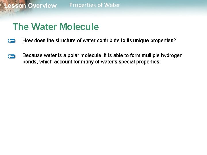 Lesson Overview Properties of Water The Water Molecule How does the structure of water