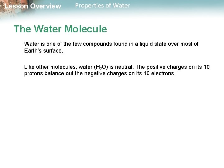 Lesson Overview Properties of Water The Water Molecule Water is one of the few