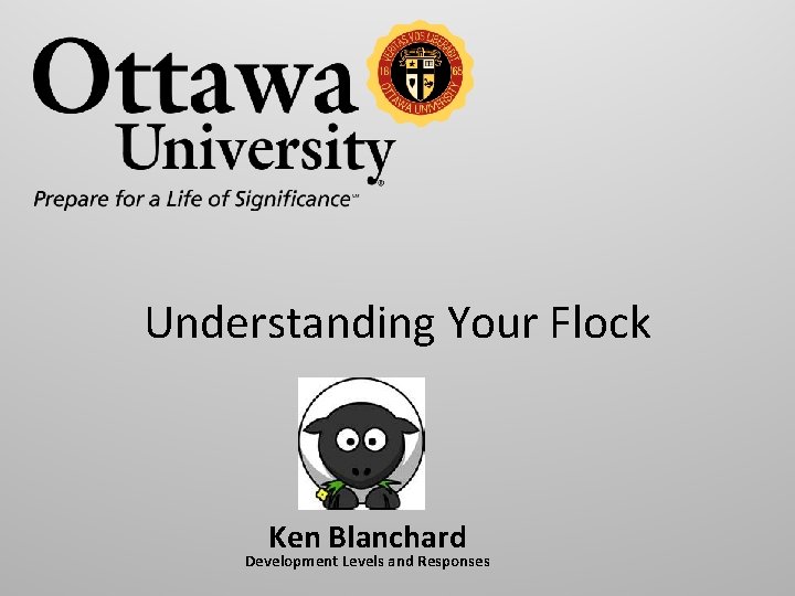 Understanding Your Flock Ken Blanchard Development Levels and Responses 