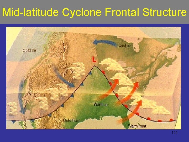 Mid-latitude Cyclone Frontal Structure 101 