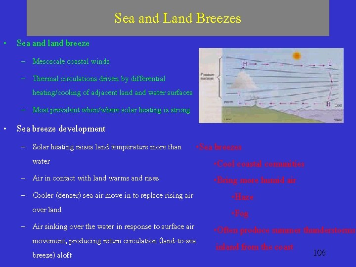 Sea and Land Breezes • Sea and land breeze – Mesoscale coastal winds –