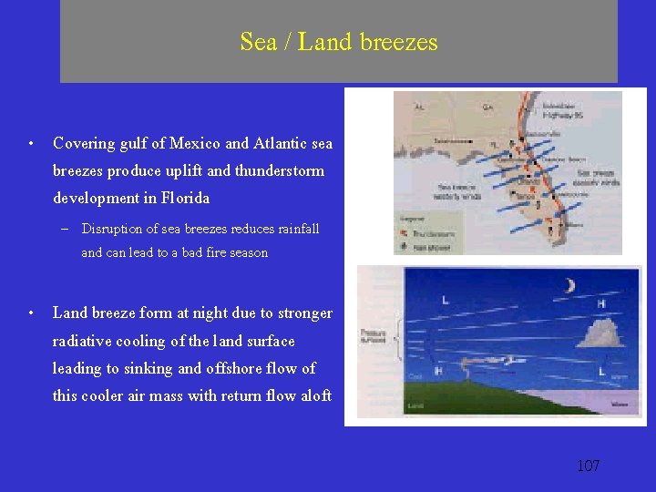 Sea / Land breezes • Covering gulf of Mexico and Atlantic sea breezes produce