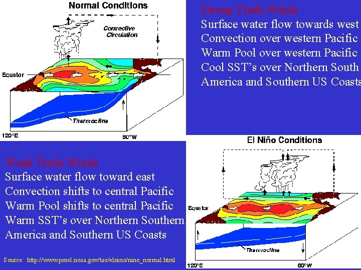 Strong Trade Winds Surface water flow towards west Convection over western Pacific Warm Pool