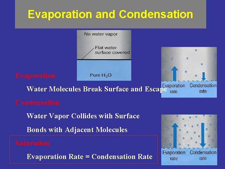 Evaporation and Condensation Evaporation Water Molecules Break Surface and Escape Condensation Water Vapor Collides