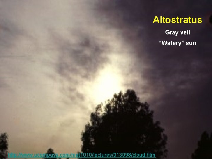 Altostratus Gray veil “Watery” sun 49 http: //www. ucompass. com/met 1010/lectures/013098/cloud. htm 