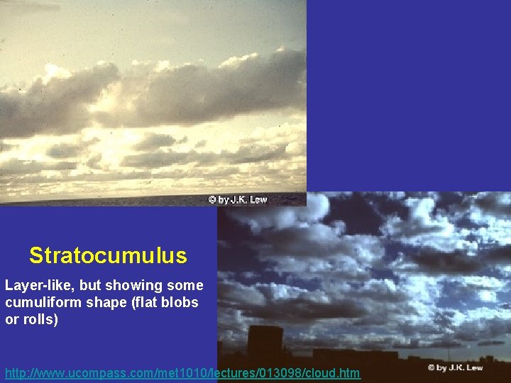 Stratocumulus Layer-like, but showing some cumuliform shape (flat blobs or rolls) 52 http: //www.