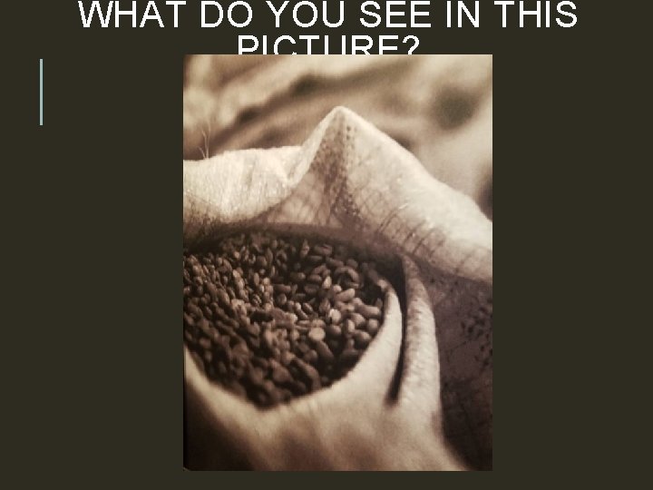 WHAT DO YOU SEE IN THIS PICTURE? 