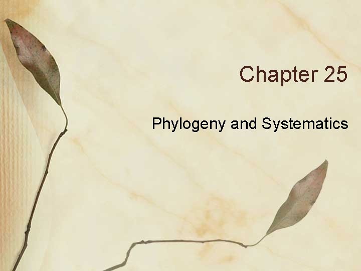 Chapter 25 Phylogeny and Systematics The Fossil Record