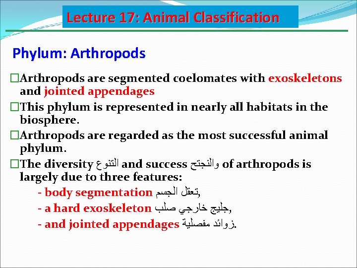 Lecture 17: Animal Classification Phylum: Arthropods �Arthropods are segmented coelomates with exoskeletons and jointed