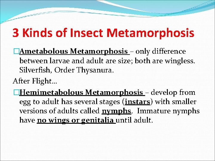 3 Kinds of Insect Metamorphosis �Ametabolous Metamorphosis – only difference between larvae and adult