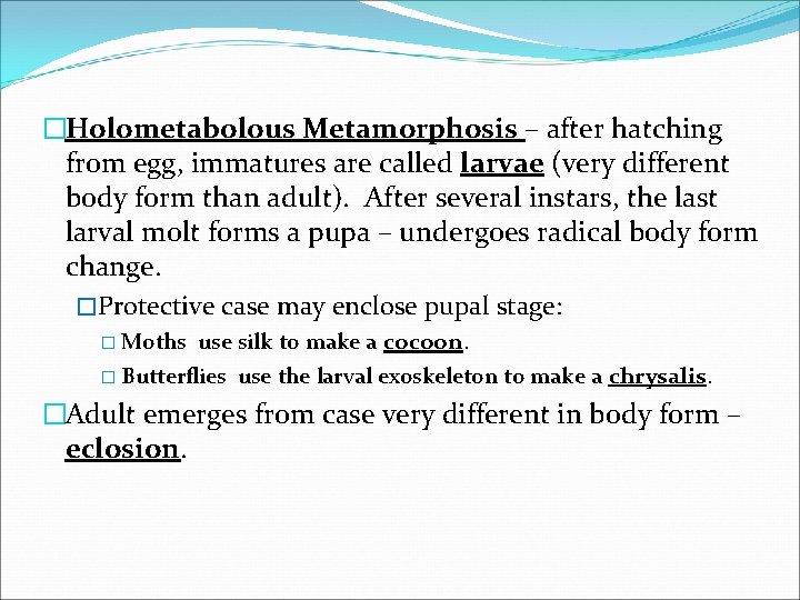 �Holometabolous Metamorphosis – after hatching from egg, immatures are called larvae (very different body