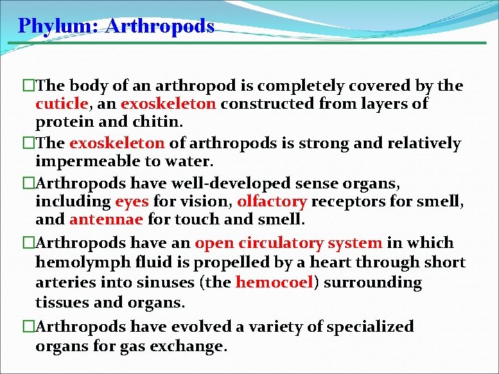 Phylum: Arthropods �The body of an arthropod is completely covered by the cuticle, an