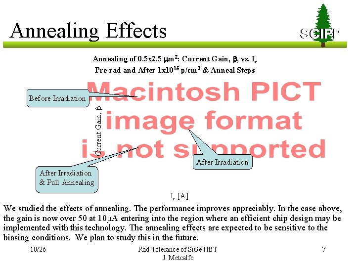 Annealing Effects SCIPP Annealing of 0. 5 x 2. 5 mm 2: Current Gain,