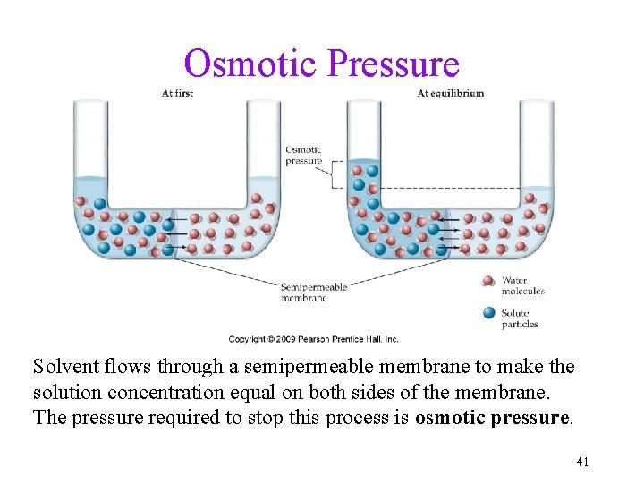 Osmotic Pressure Solvent flows through a semipermeable membrane to make the solution concentration equal