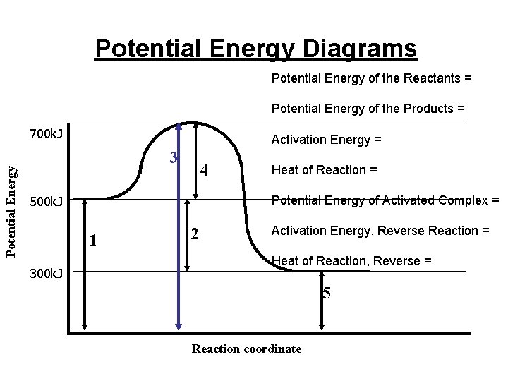 Potential Energy Diagrams Potential Energy of the Reactants = Potential Energy of the Products