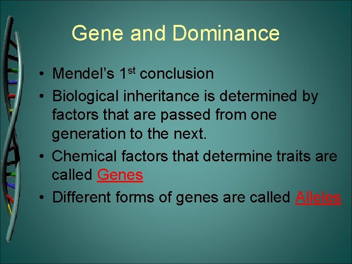 Gene and Dominance • Mendel’s 1 st conclusion • Biological inheritance is determined by