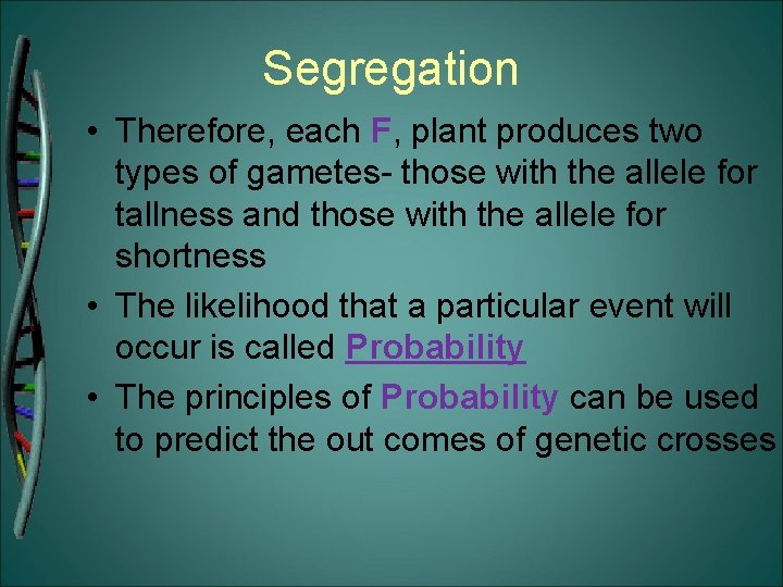 Segregation • Therefore, each F, plant produces two types of gametes- those with the