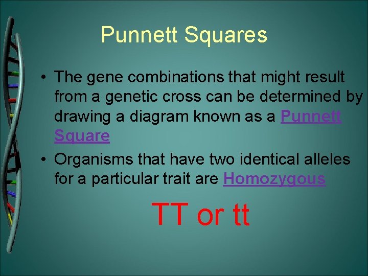Punnett Squares • The gene combinations that might result from a genetic cross can