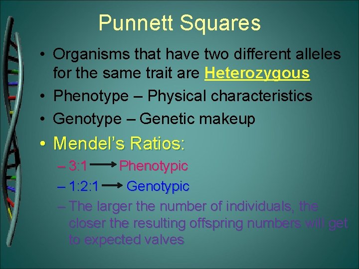 Punnett Squares • Organisms that have two different alleles for the same trait are