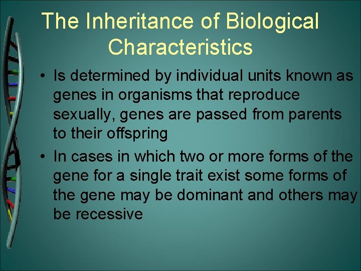 The Inheritance of Biological Characteristics • Is determined by individual units known as genes