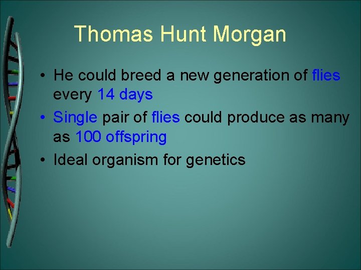 Thomas Hunt Morgan • He could breed a new generation of flies every 14