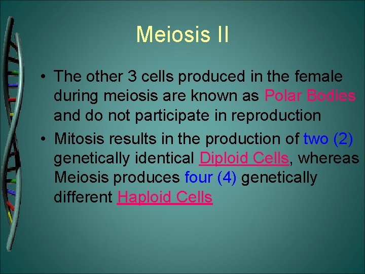 Meiosis II • The other 3 cells produced in the female during meiosis are