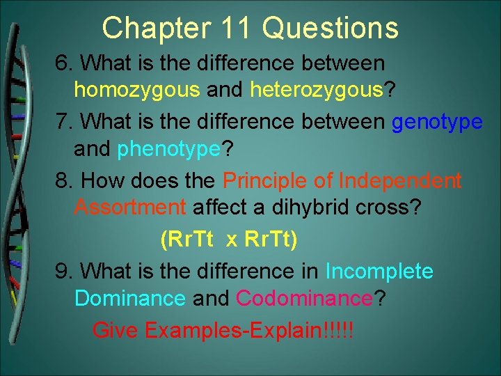 Chapter 11 Questions 6. What is the difference between homozygous and heterozygous? 7. What