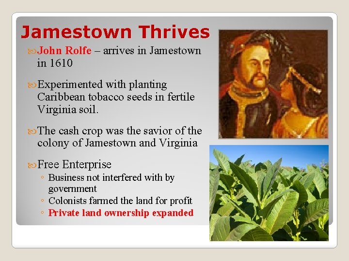 Jamestown Thrives John Rolfe – arrives in Jamestown in 1610 Experimented with planting Caribbean