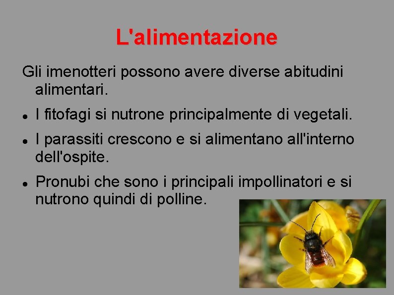 L'alimentazione Gli imenotteri possono avere diverse abitudini alimentari. I fitofagi si nutrone principalmente di