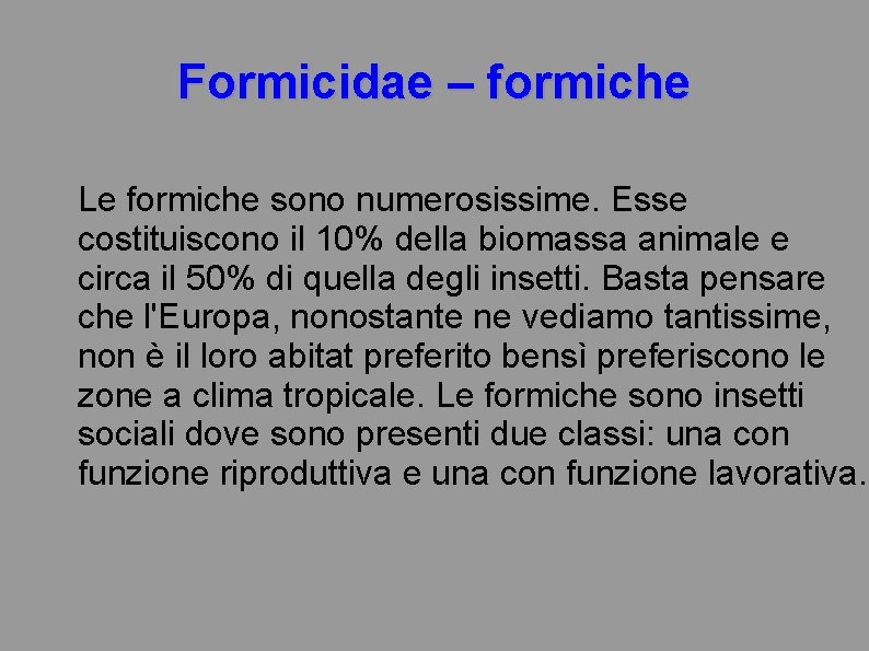 Formicidae – formiche Le formiche sono numerosissime. Esse costituiscono il 10% della biomassa animale