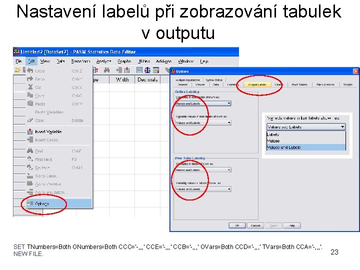 Nastavení labelů při zobrazování tabulek v outputu SET TNumbers=Both ONumbers=Both CCC='-, , , '