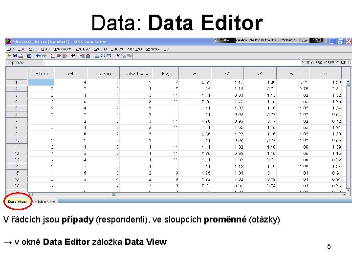 Data: Data Editor V řádcích jsou případy (respondenti), ve sloupcích proměnné (otázky) → v