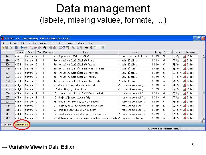 Data management (labels, missing values, formats, …) → Variable View in Data Editor 6