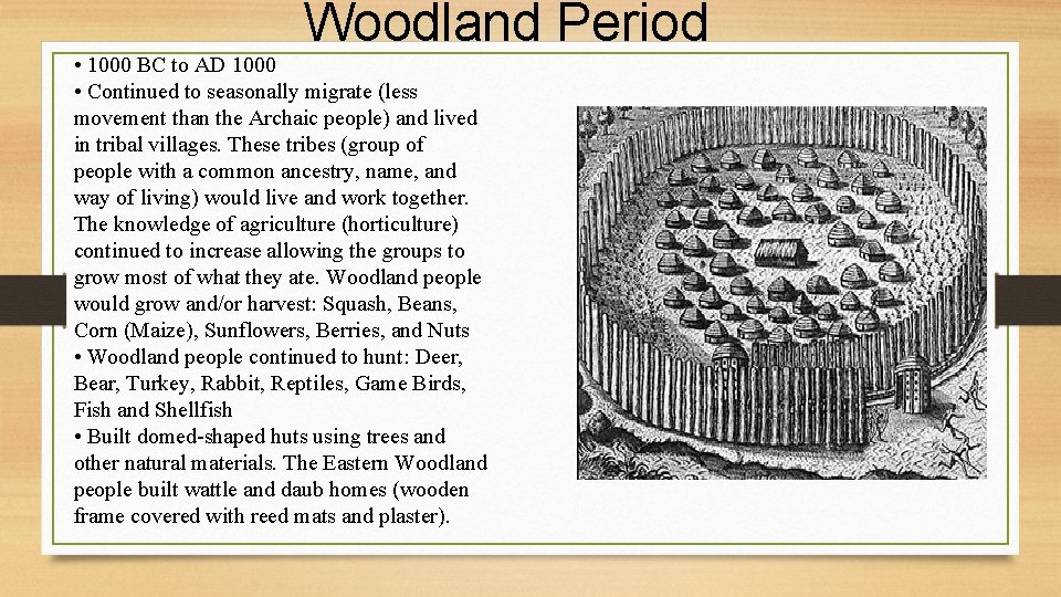 Woodland Period • 1000 BC to AD 1000 • Continued to seasonally migrate (less