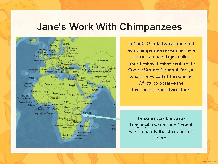 Jane's Work With Chimpanzees In 1960, Goodall was appointed as a chimpanzee researcher by