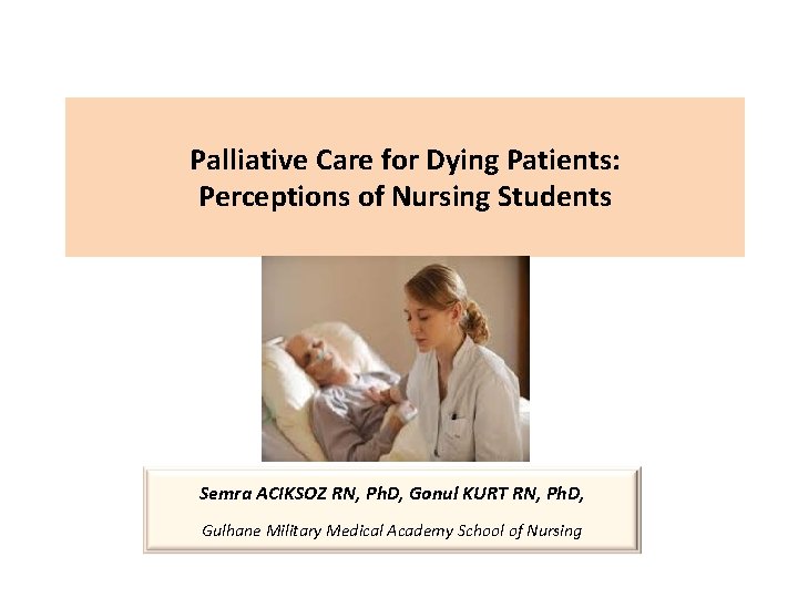 Palliative Care for Dying Patients Perceptions of Nursing
