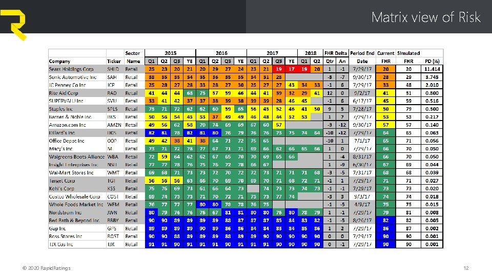 Matrix view of Risk © 2020 Rapid. Ratings 12 