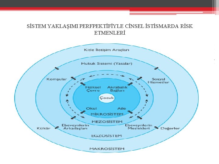 SİSTEM YAKLAŞIMI PERFPEKTİFİYLE CİNSEL İSTİSMARDA RİSK ETMENLERİ 