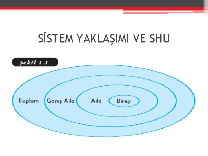 SİSTEM YAKLAŞIMI VE SHU 