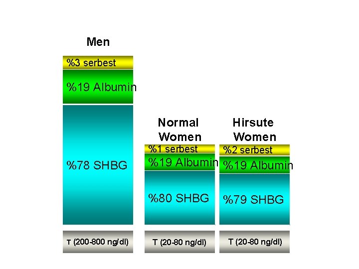 Men %3 serbest %19 Albumin Normal Women %1 serbest %78 SHBG T (200 -800