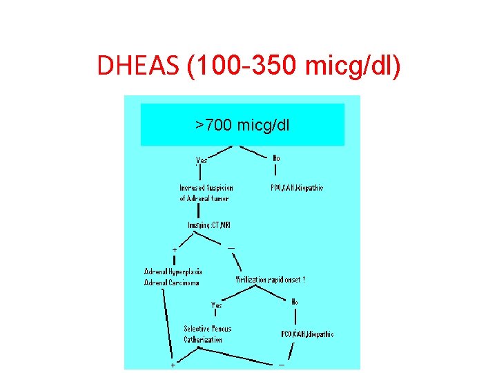 DHEAS (100 -350 micg/dl) >700 micg/dl 