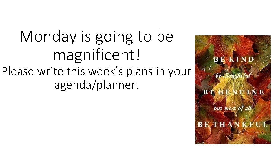 Monday is going to be magnificent! Please write this week’s plans in your agenda/planner.