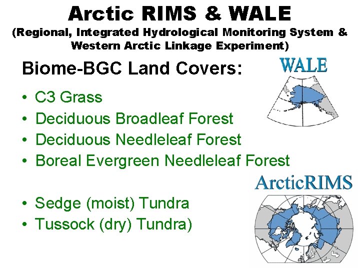 Arctic RIMS & WALE (Regional, Integrated Hydrological Monitoring System & Western Arctic Linkage Experiment)