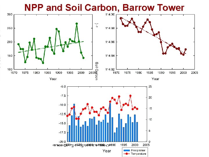 NPP and Soil Carbon, Barrow Tower 