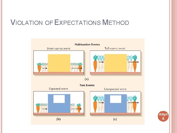 VIOLATION OF EXPECTATIONS METHOD Cop yrig ht © Allyn & Bac on 2007 